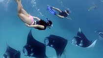 Bali Full-Day Tour to Exploring Nusa Penida Island with Snorkeling From Bali