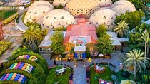  Dubai Butterfly Garden 