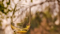 Shell and bull vineyard New experience