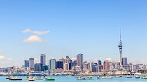 Full Day Private Shore Tour in Auckland from Bay Of Islands Port