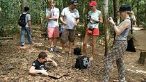 1 Day Small Group Tour in Cu Chi Tunnels and Mekong Delta
