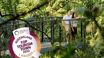 Tamborine Rainforest Skywalk + Hop on Hop off Bus