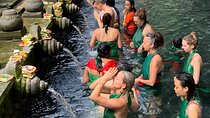 Bali Car-Charter: Go as your own trip to Ubud