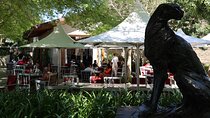 Private Wine Tour Cape Town with Local Guide, Tasting Fees Includ