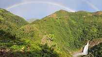 Medellín Private Tour with Waterfall adventure Zipline & Hiking