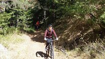 Mountainbike Magic: Vienna's Forest and Fresh Grape Juice 