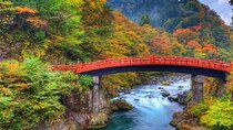 From Tokyo: Nikko Private 1-Day Sightseeing trip with Guide