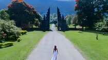 Bali Car-Charter: Amazing North Bali Tour