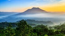 Best of Ubud Tour, Waterfall, Volcano, Rice Terrace and Temples