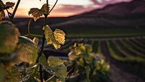 Haro, Laguardia and two Rioja wineries from Bilbao