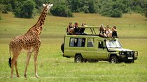 Nairobi National Park and Giraffe Center Guided Day Tour