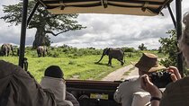 6-Days Amboseli, Lake Naivasha and Masai Mara Safari tour