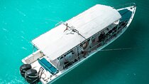 Snorkeling Experience at Ad Daymaniyat Islands in Muscat