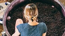Organic & Biodynamic Wine Adventure in Mendoza