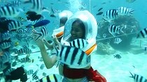 Bali Sea Walking and Uluwatu Sunset Tour with Kecak Dance