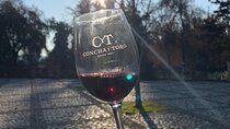 Premium Excursion in Concha y Toro