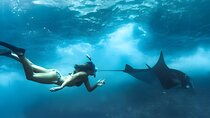 Nusa Penida Island Beach Tours with Snorkeling From Bali 