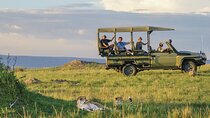 4 Days Safari Experience: Nairobi Park, City Trip And Diani Beach