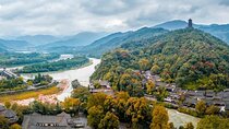 Dujiangyan Panda base & Irrigation System Private Day Tour