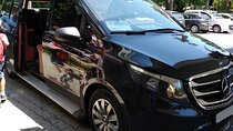 Sao Paulo Airport (GRU) to Downtown - Private Round-Trip Transfer