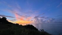 Tarot and Tea a Private Tropical Timeout in Montego Bay