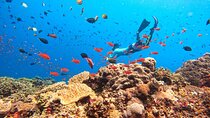  Lembongan Snorkeling Swim With Manta Rays and Island Tour