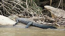 4-Day Tour in Manu National Park