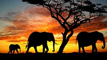 10 Days Discover Kenya Wildlife Safari on a 4x4 Land Cruiser Jeep