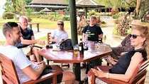  Local Lunch and Beer Tasting Experience