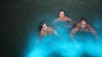 Private Luminous Lagoon Night Tour From Montego Bay
