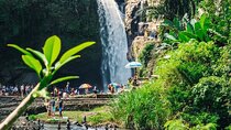 Private Ubud Tour and Quad Bike 
