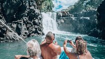 Full Day Shared Speed Boat in Ile Aux Cerfs Lunch & Transfer incl