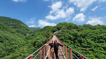 Private DMZ Tour and Suspension Bridge + Korean BBQ