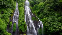 Bali Full-Day Tour: Exploring Instagrammable Place in North Bali