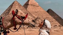 A Day Discovering Cairo Egyptian Museum, Cairo Citadel, Old Cairo