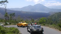 Bali Full-Day Kintamani Volcano with VW Safari Classic Car Tour