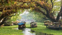 Heritage & Cultural Walk of Alleppey (Guided Walking Tour)