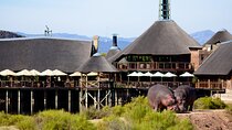 2-Day Buffelsdrift Game Lodge Safari with Cango Caves Shared Tour