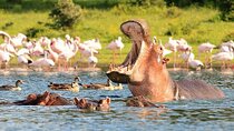 Nairobi National Park Group Tour