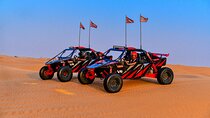 3000cc Dune Buggy & Sandboarding - Private Experience 