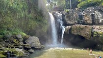 Best Of Ubud Half Day Private Guided Tour