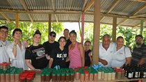  5 Tours of Jungle and Dominican Culture with Lunch 