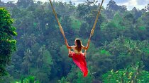 Bali Swing Activities and Kintamani Ubud Tour Packages