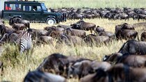 8 Days Combined Kenya And Tanzania Luxury Safari