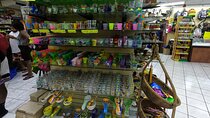 Montego Bay Highlight Tour & Shopping 