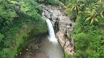 Full-Day Bali Car Charter to Visit The Best Places in Ubud