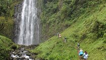 3 Days Tour to Tarangire, Ngorongoro and Materuni