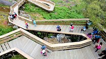 Leave Porto and go walk along the Passadiços do Paiva, Arouca