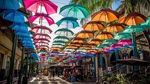 Full Day Private Guided Tour Of North Mauritius