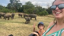 02 Days Fascinating Tour Colombo,Sigiriya,Safari,Dambulla,Kandy 